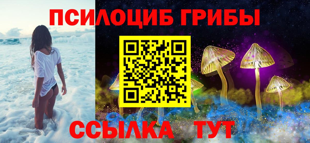 Псилоцибиновые грибы Psilocybe Кизляр